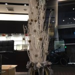 10686715_652458274866657_7712372119616946770_n